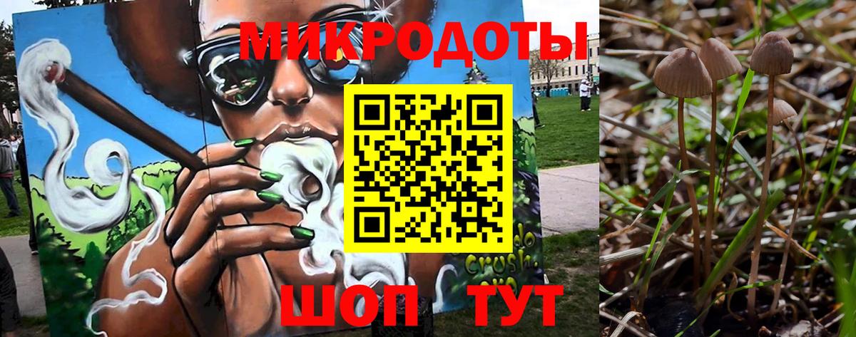 Зеленогорск  Псилоцибиновые грибы мухоморы  Вход с VPN  Галлюциногенные грибы MAGIC MUSHROOMS 